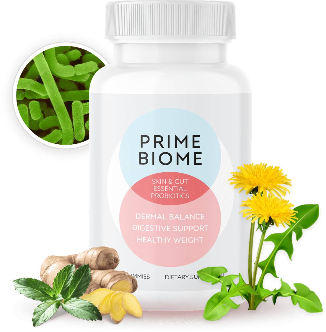 GlucoBerry support healthy blood sugar